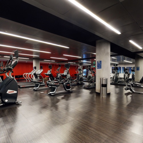 Two BR Apartments in San Francisco CA - Trinity Place at 1190 - Fitness Center with Large Mirrors, Machines, Weights, and Wood Flooring Two BR Apartments in San Francisco CA - Trinity Place at 1190 - Fitness Center with Large Mirrors, Machines, Weights, and Wood Flooring